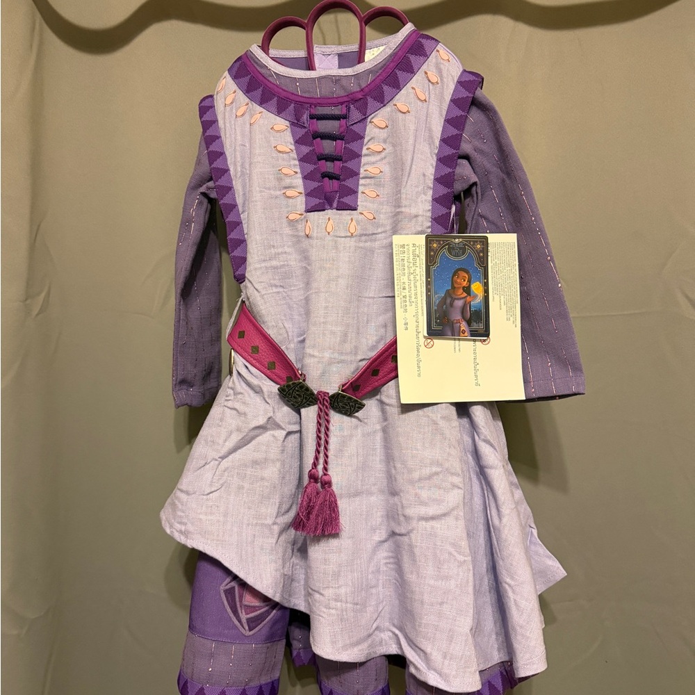 Disney Costume Asha Girl